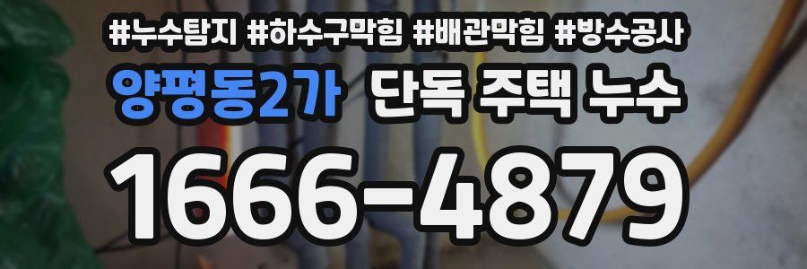 양평동2가 단독 주택 누수