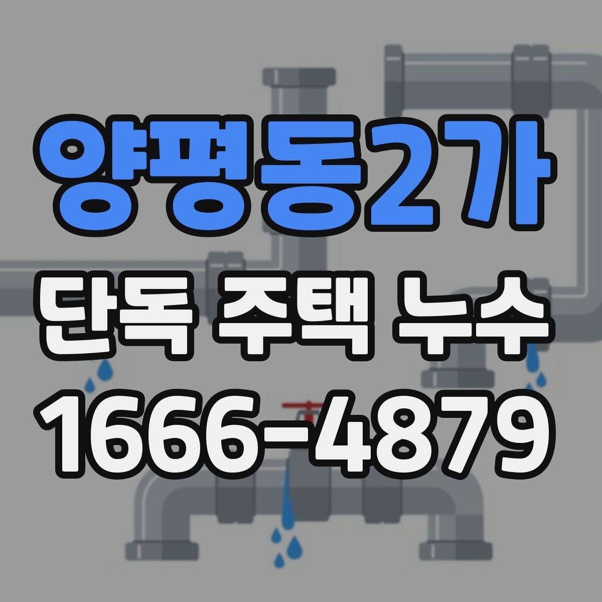 양평동2가 단독 주택 누수