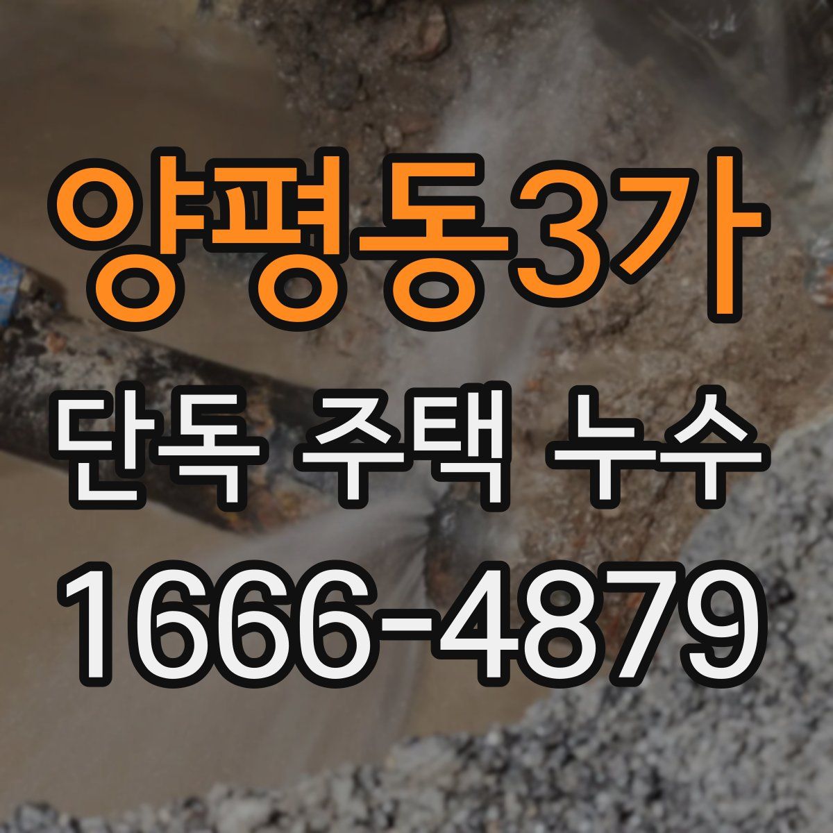 양평동3가 단독 주택 누수
