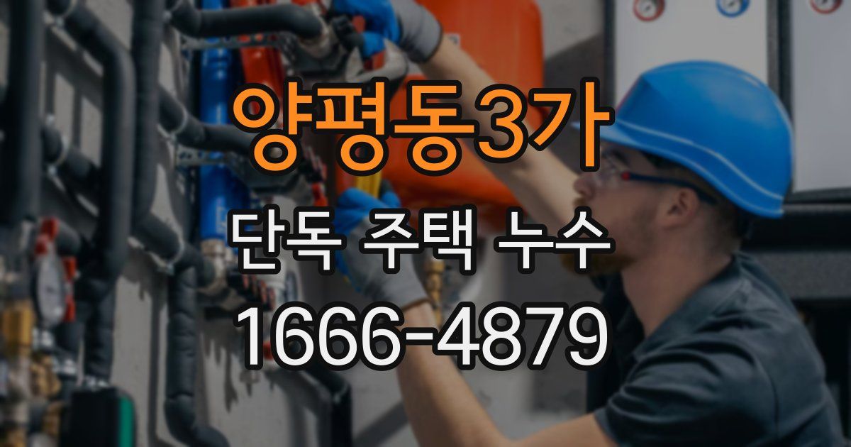 양평동3가 단독 주택 누수