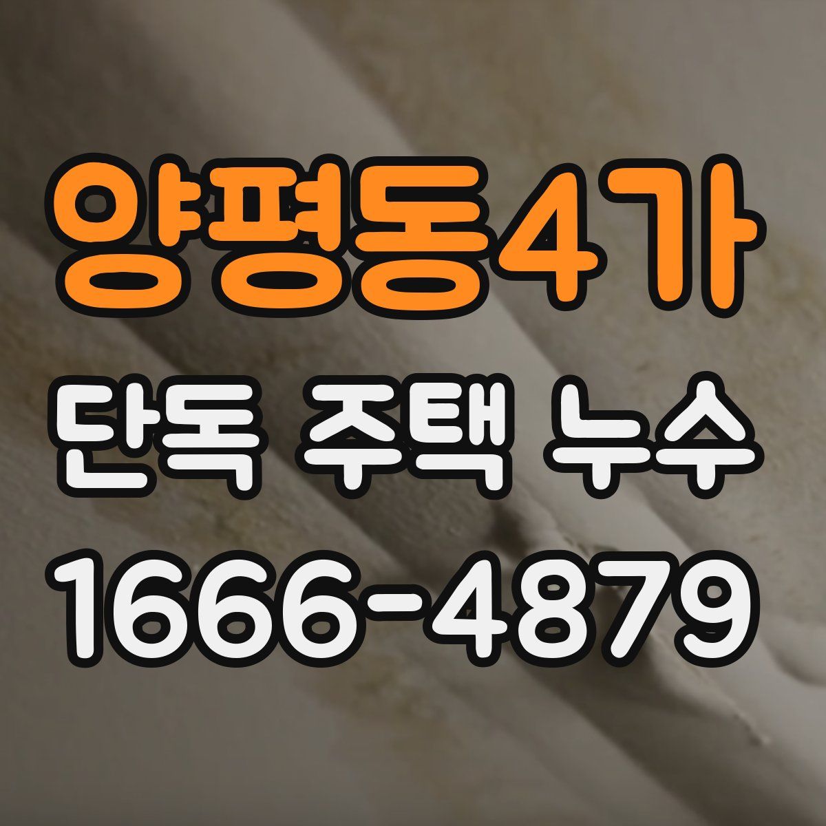 양평동4가 단독 주택 누수