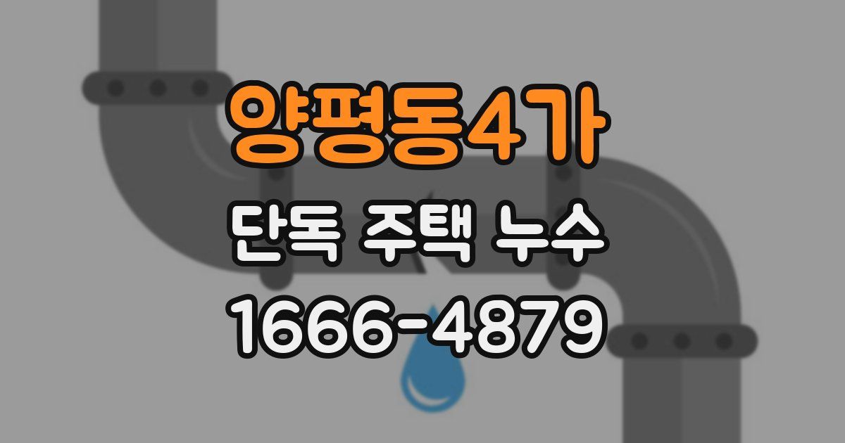 양평동4가 단독 주택 누수
