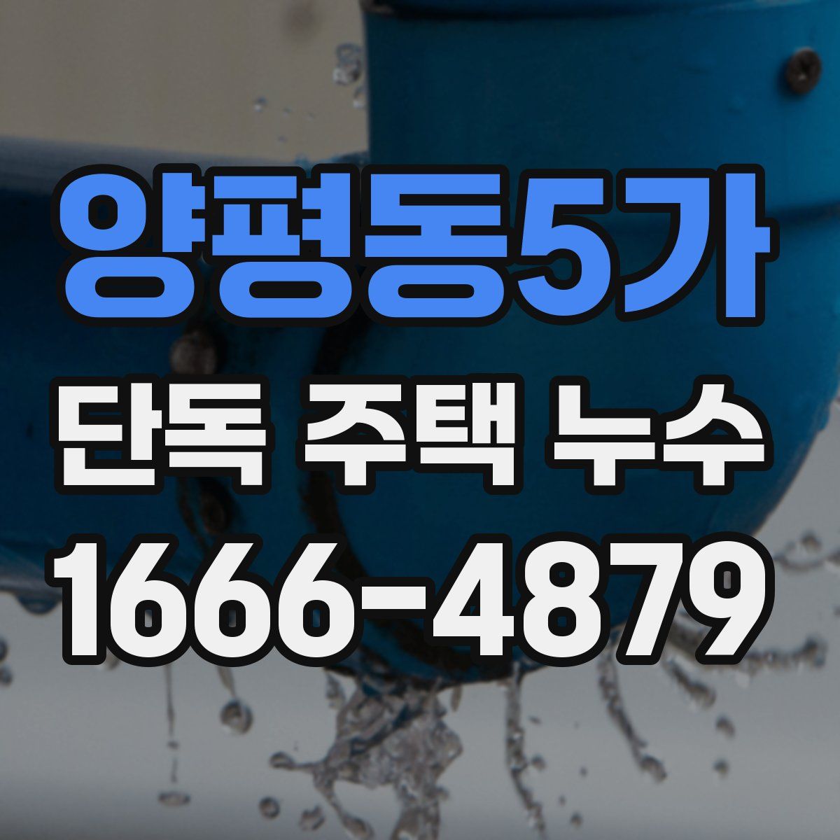 양평동5가 단독 주택 누수