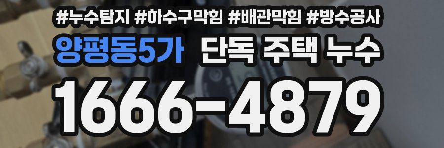 양평동5가 단독 주택 누수