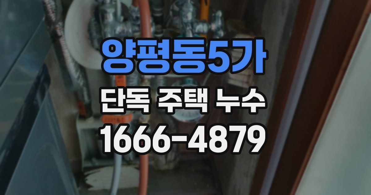 양평동5가 단독 주택 누수