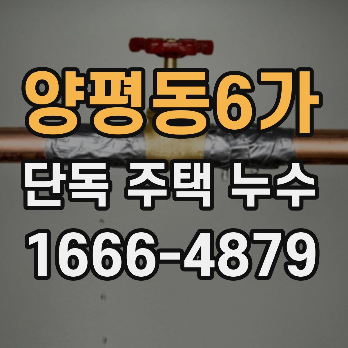 양평동6가 단독 주택 누수