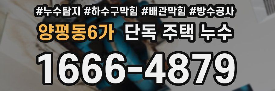 양평동6가 단독 주택 누수