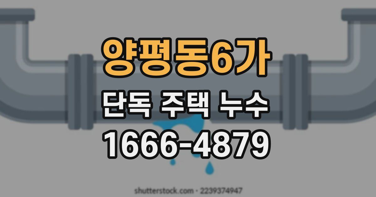 양평동6가 단독 주택 누수