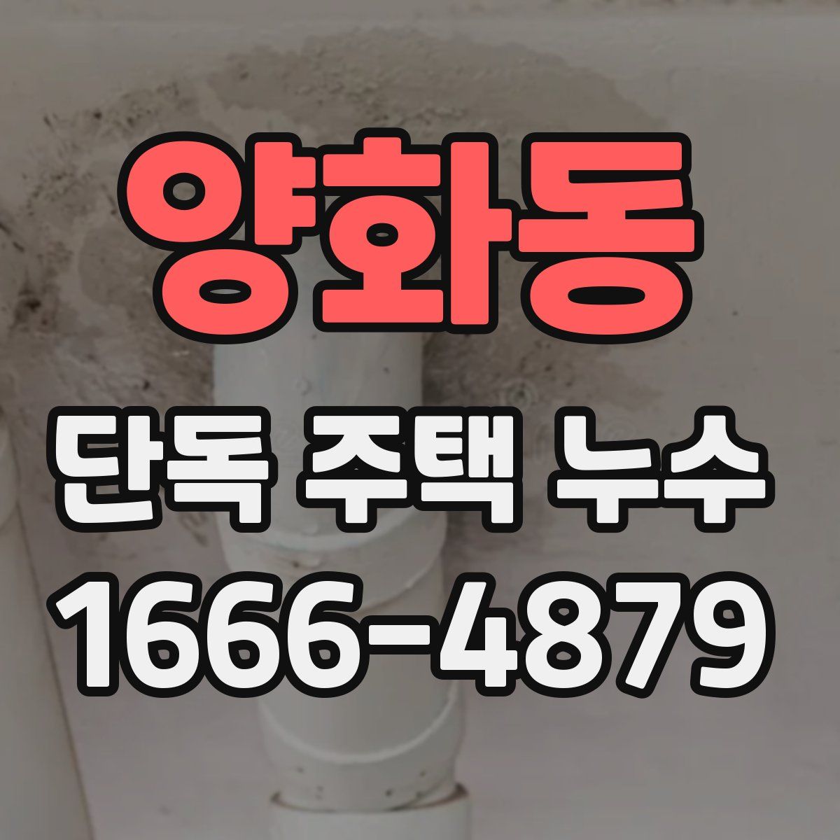 양화동 단독 주택 누수