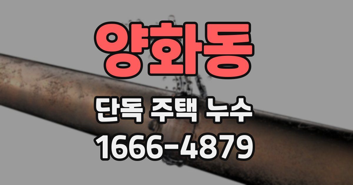 양화동 단독 주택 누수