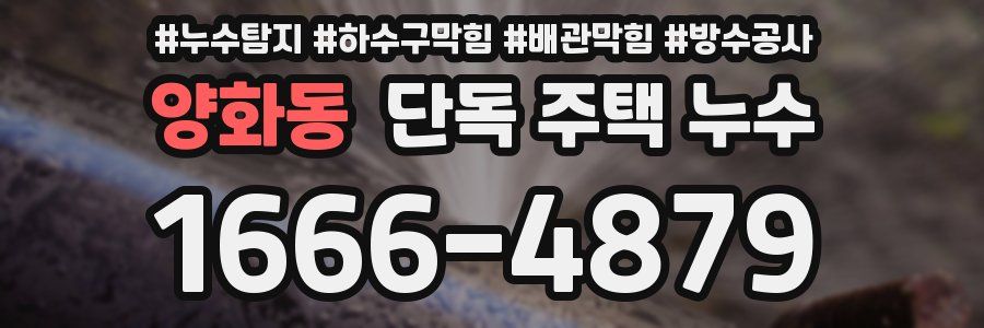 양화동 단독 주택 누수