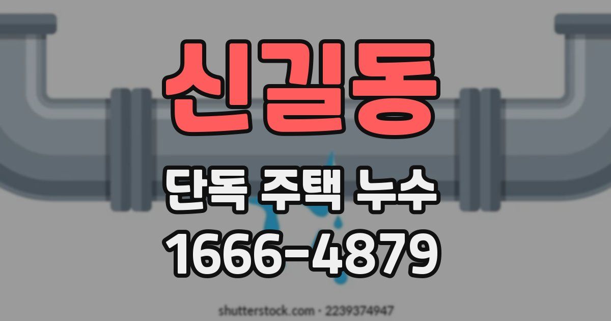 신길동 단독 주택 누수