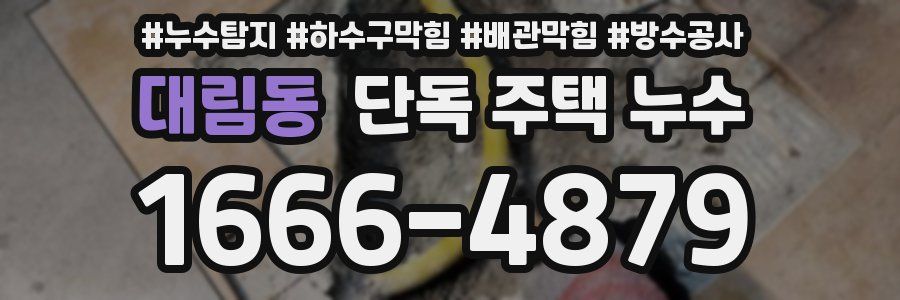 대림동 단독 주택 누수