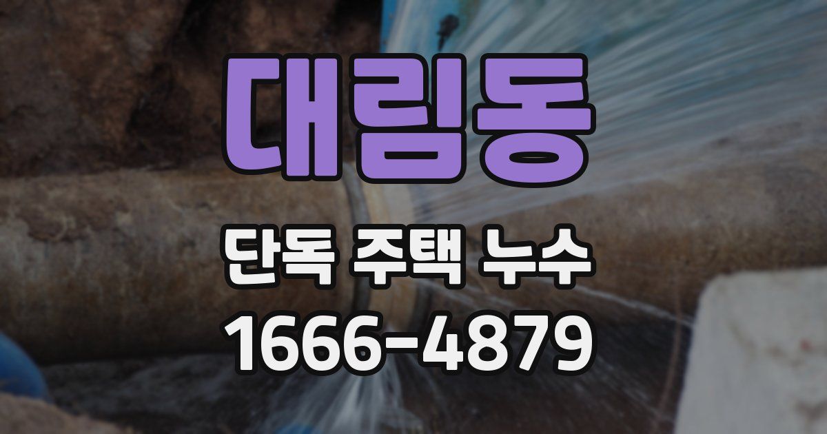 대림동 단독 주택 누수