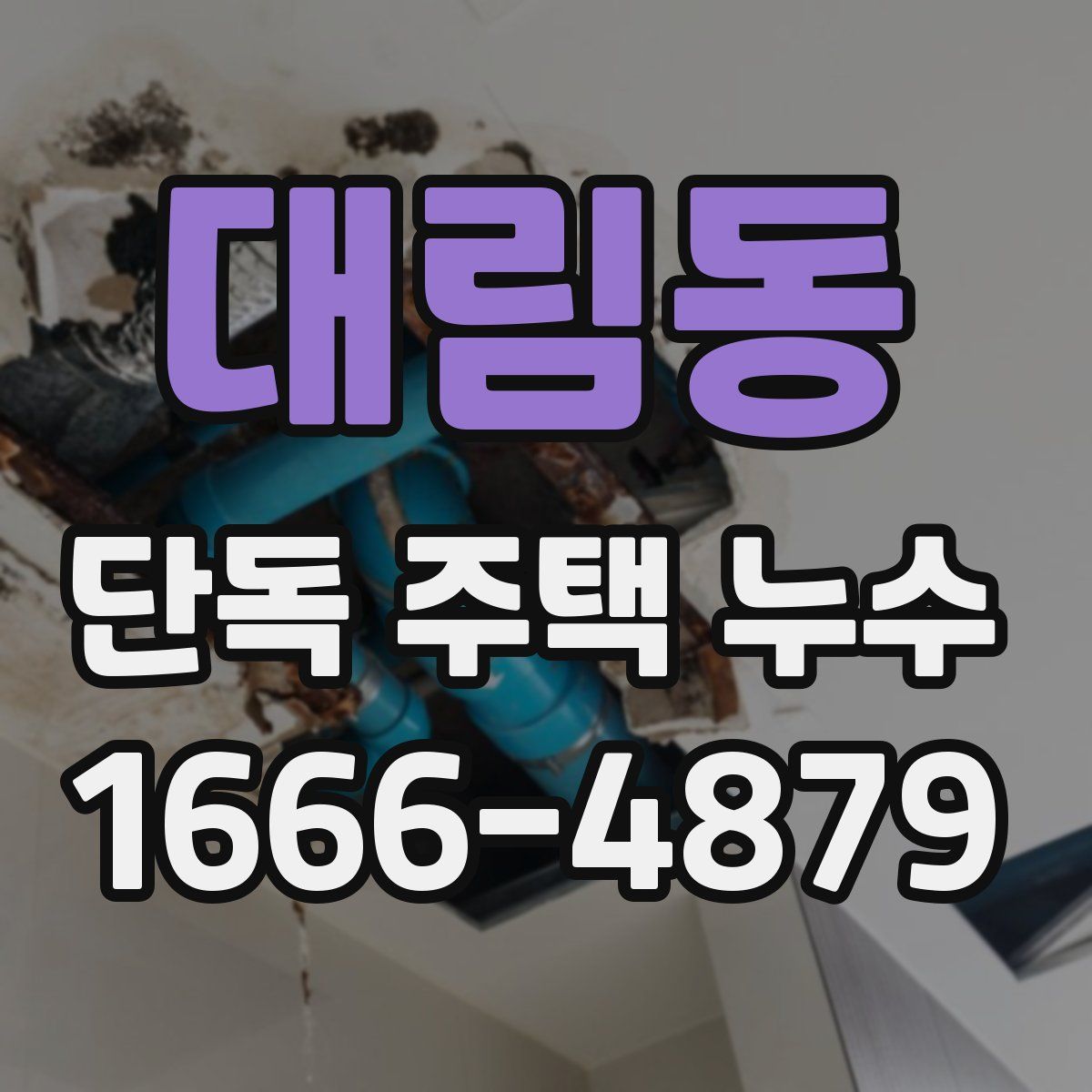 대림동 단독 주택 누수