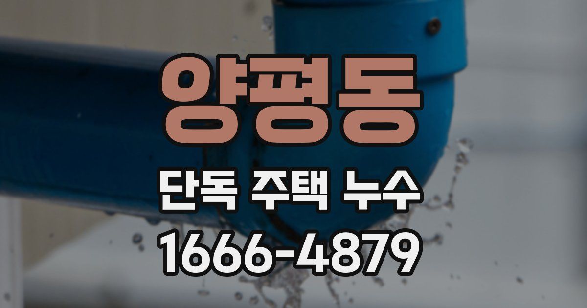 양평동 단독 주택 누수