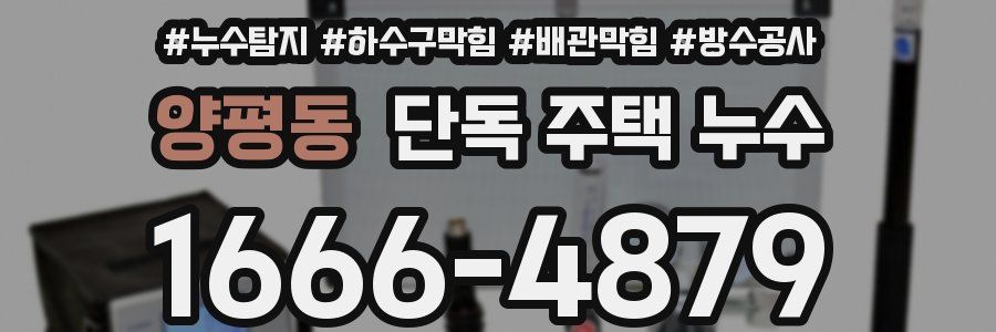 양평동 단독 주택 누수