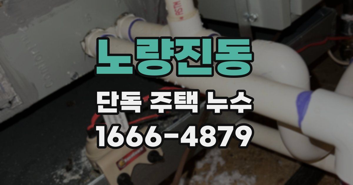 노량진동 단독 주택 누수