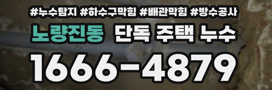 노량진동 단독 주택 누수