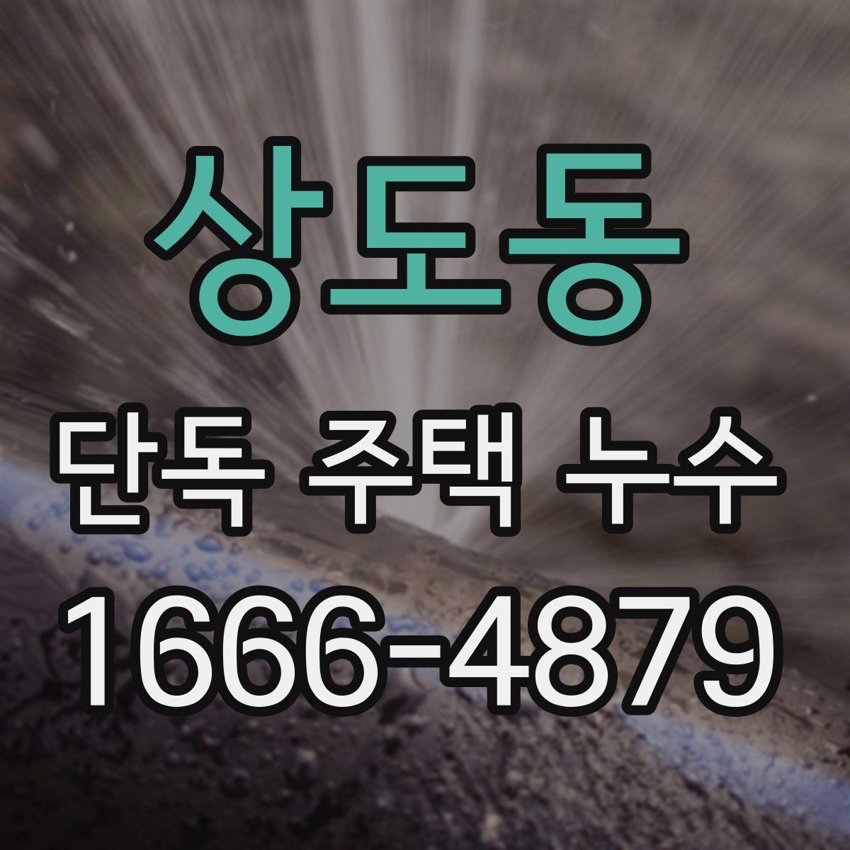 상도동 단독 주택 누수