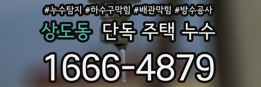 상도동 단독 주택 누수