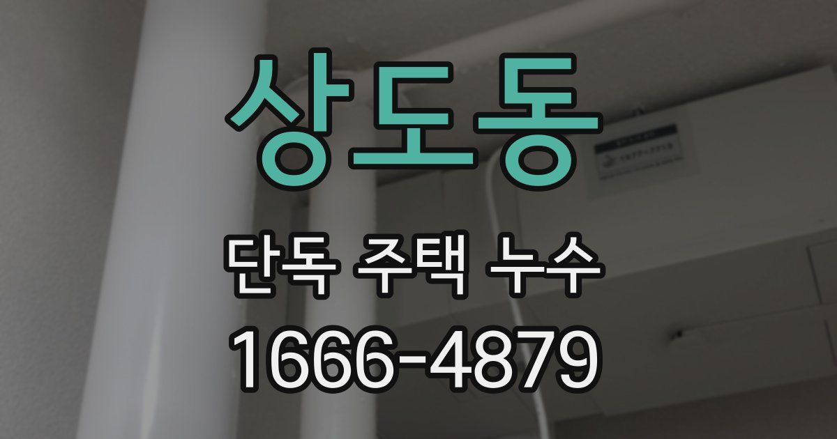 상도동 단독 주택 누수