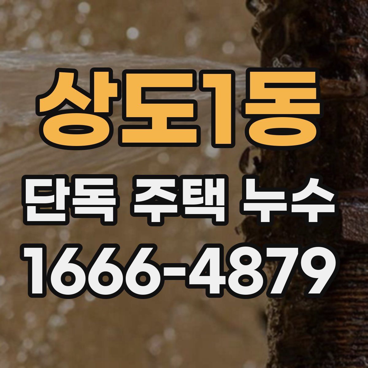 상도1동 단독 주택 누수
