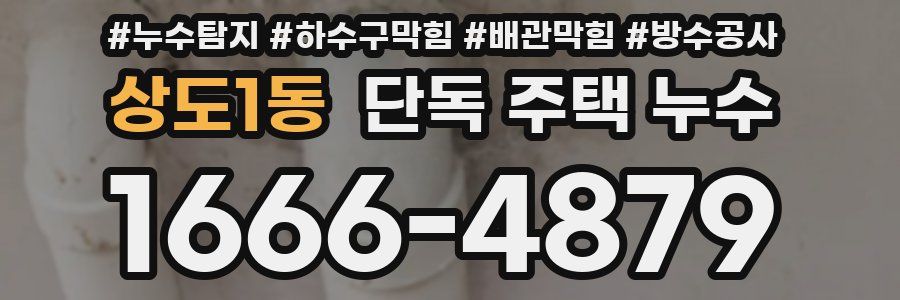 상도1동 단독 주택 누수