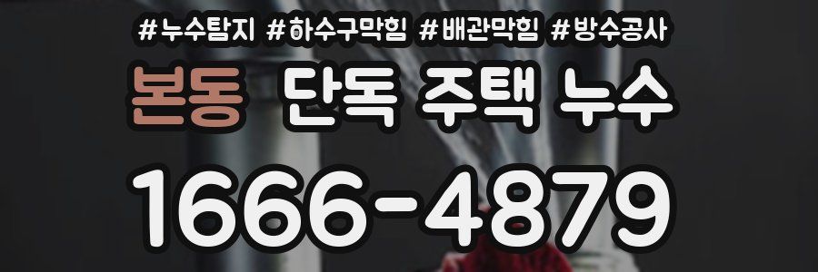 본동 단독 주택 누수