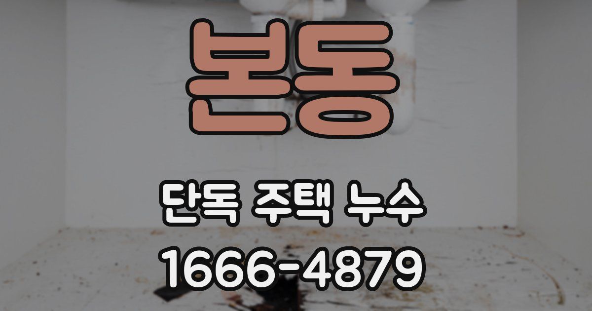 본동 단독 주택 누수