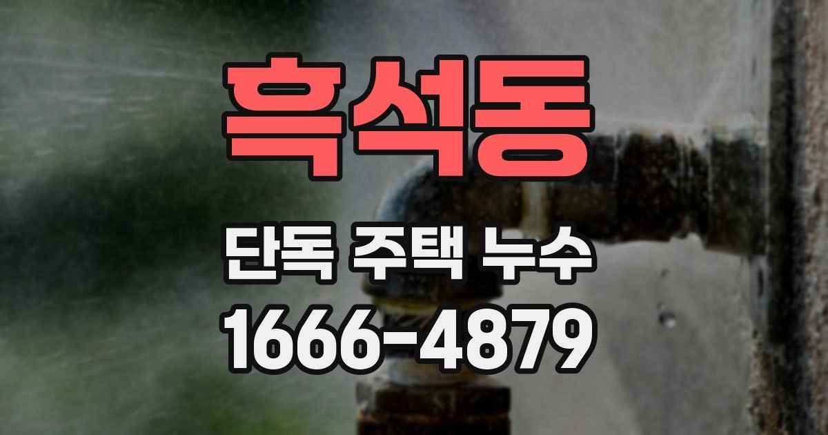 흑석동 단독 주택 누수