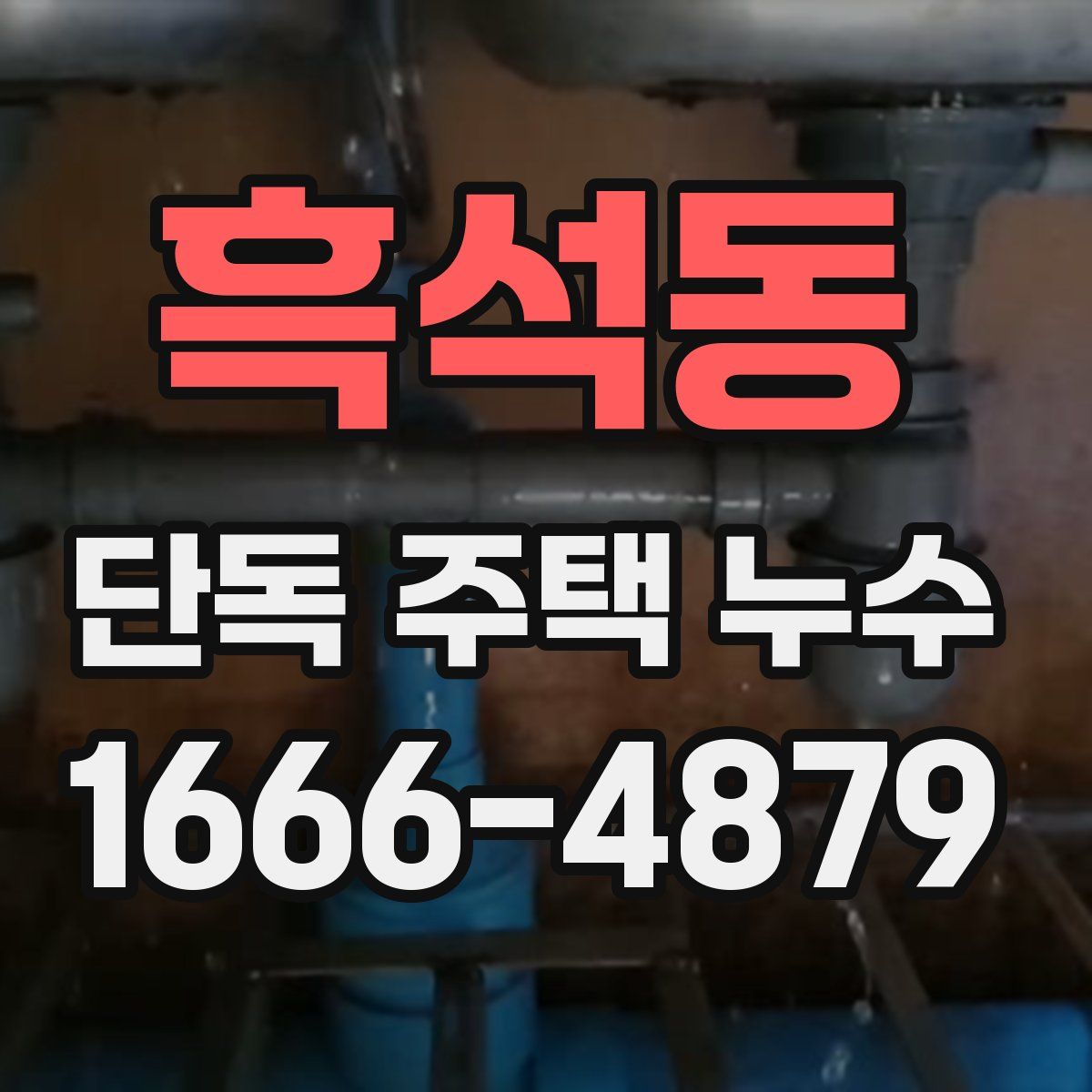 흑석동 단독 주택 누수