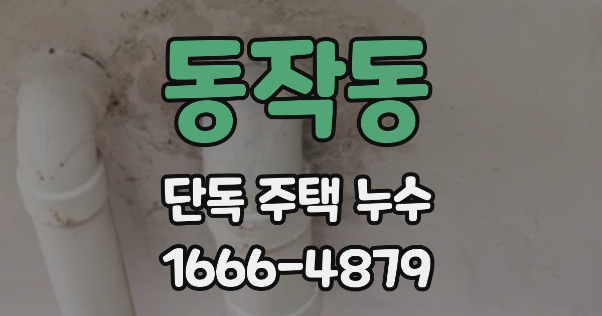동작동 단독 주택 누수