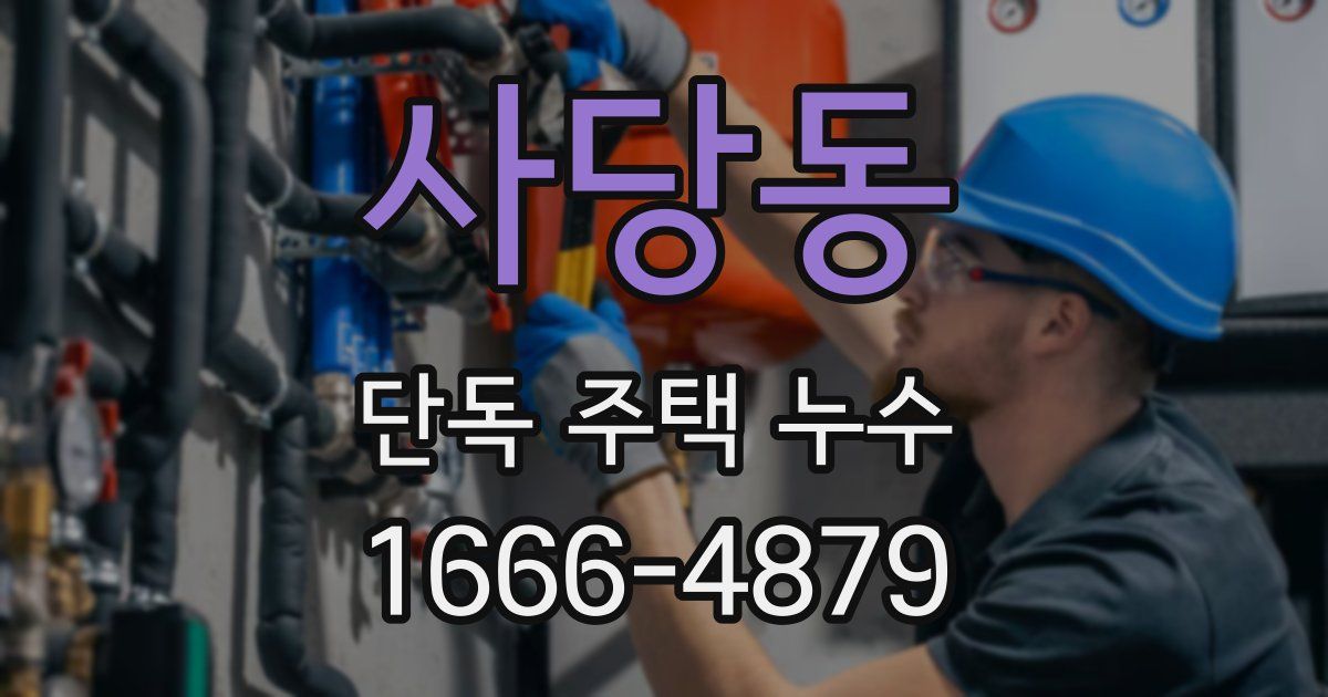 사당동 단독 주택 누수