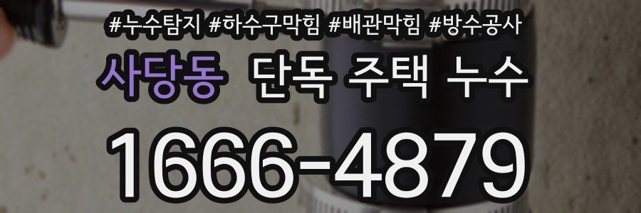 사당동 단독 주택 누수