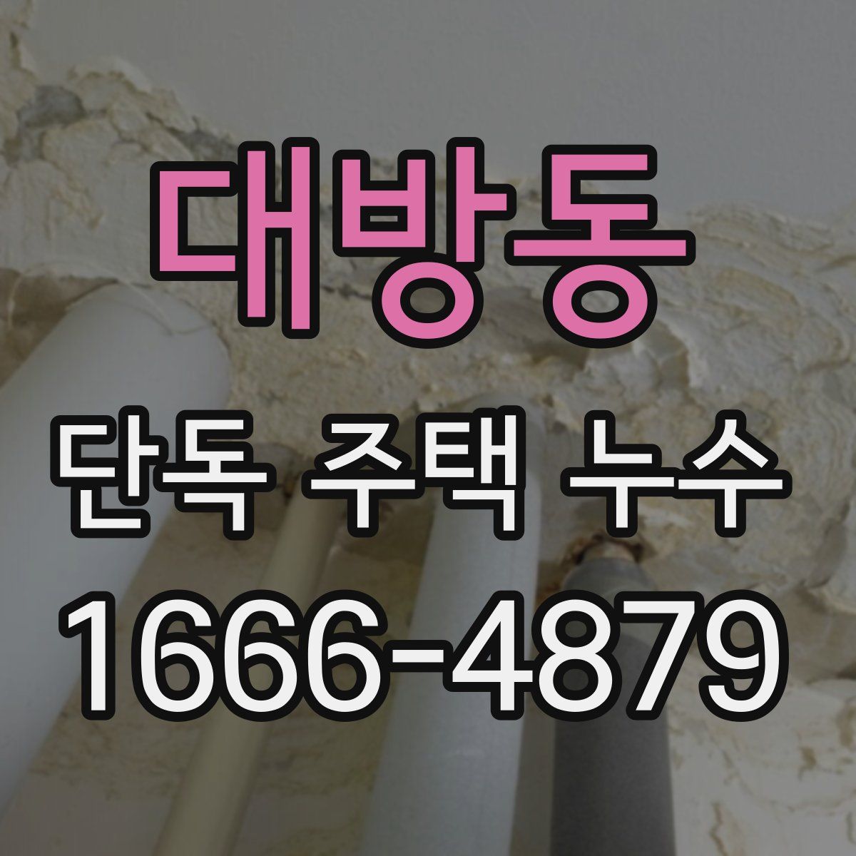 대방동 단독 주택 누수