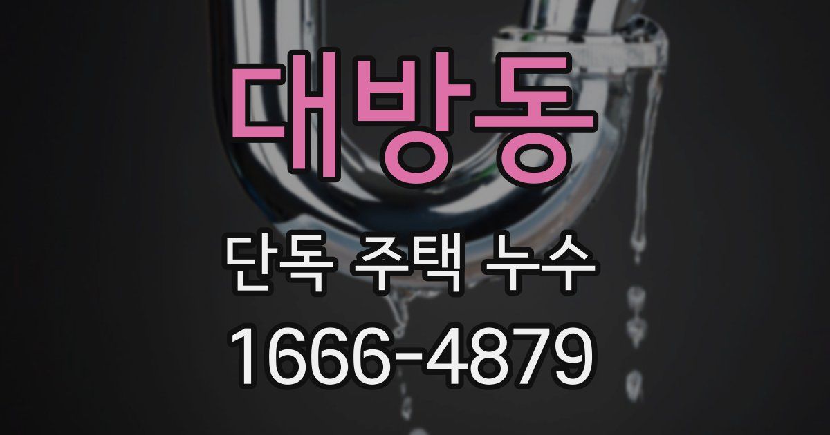 대방동 단독 주택 누수