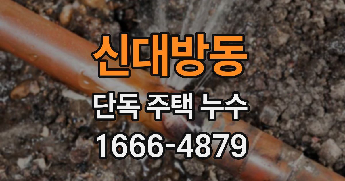 신대방동 단독 주택 누수