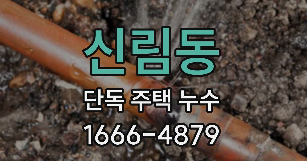 신림동 단독 주택 누수