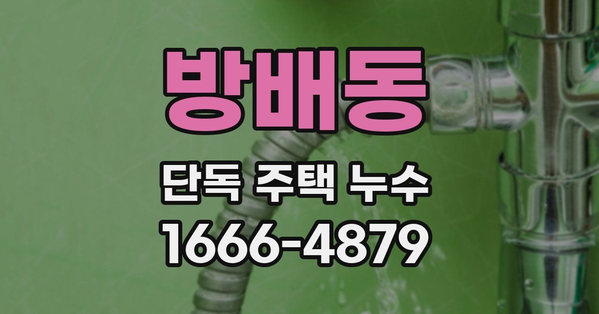 방배동 단독 주택 누수