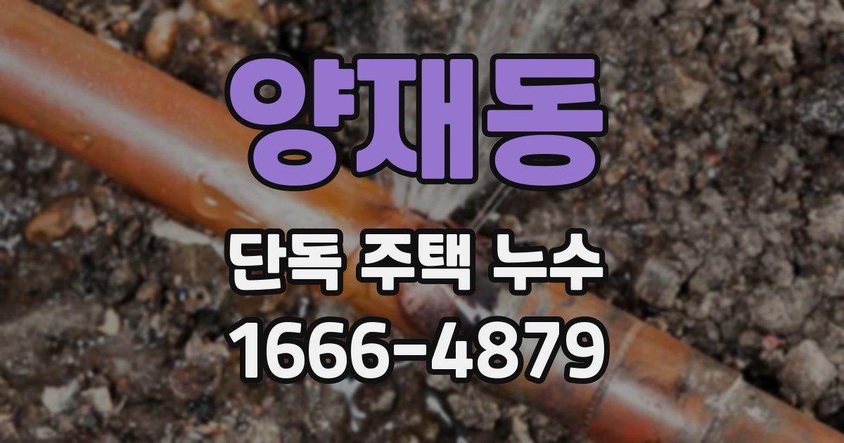 양재동 단독 주택 누수