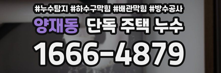 양재동 단독 주택 누수