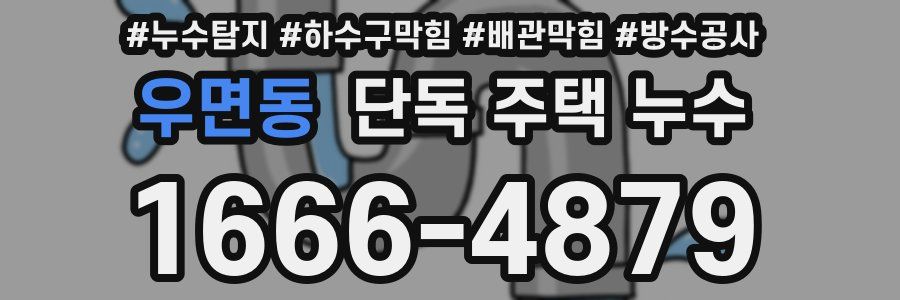 우면동 단독 주택 누수