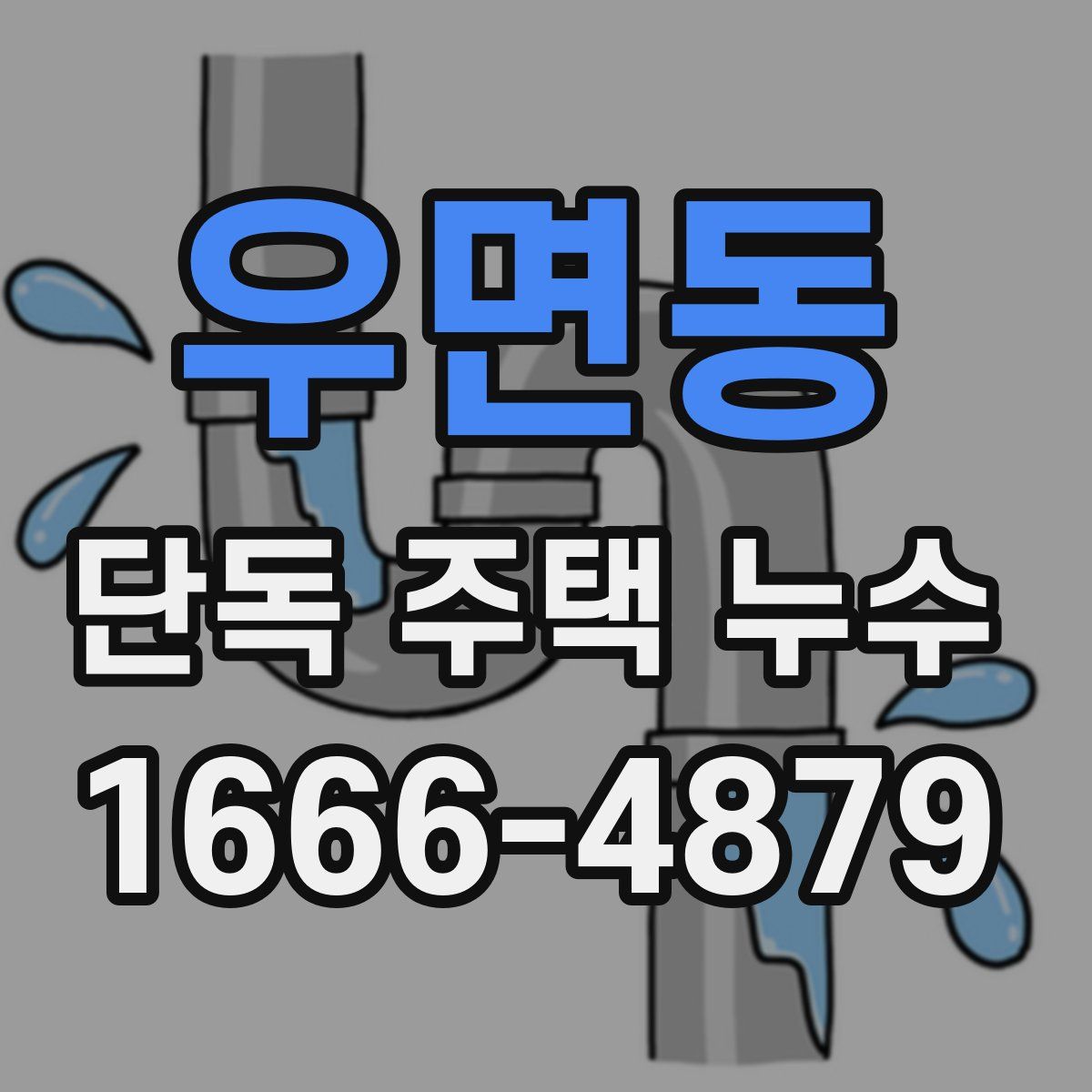 우면동 단독 주택 누수