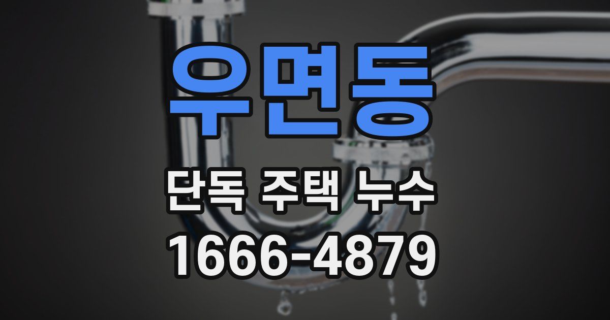 우면동 단독 주택 누수