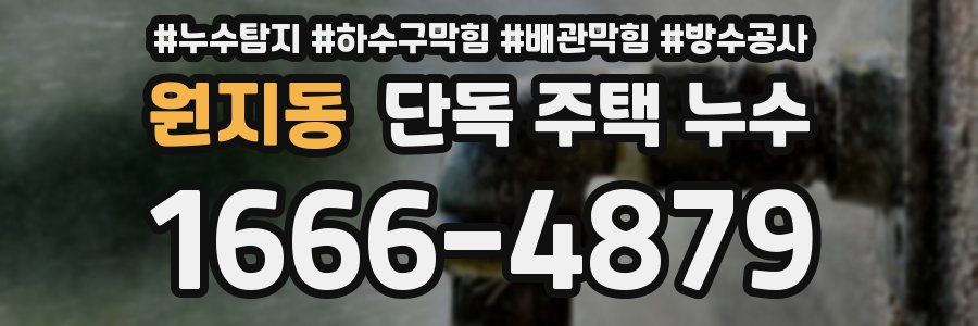 원지동 단독 주택 누수
