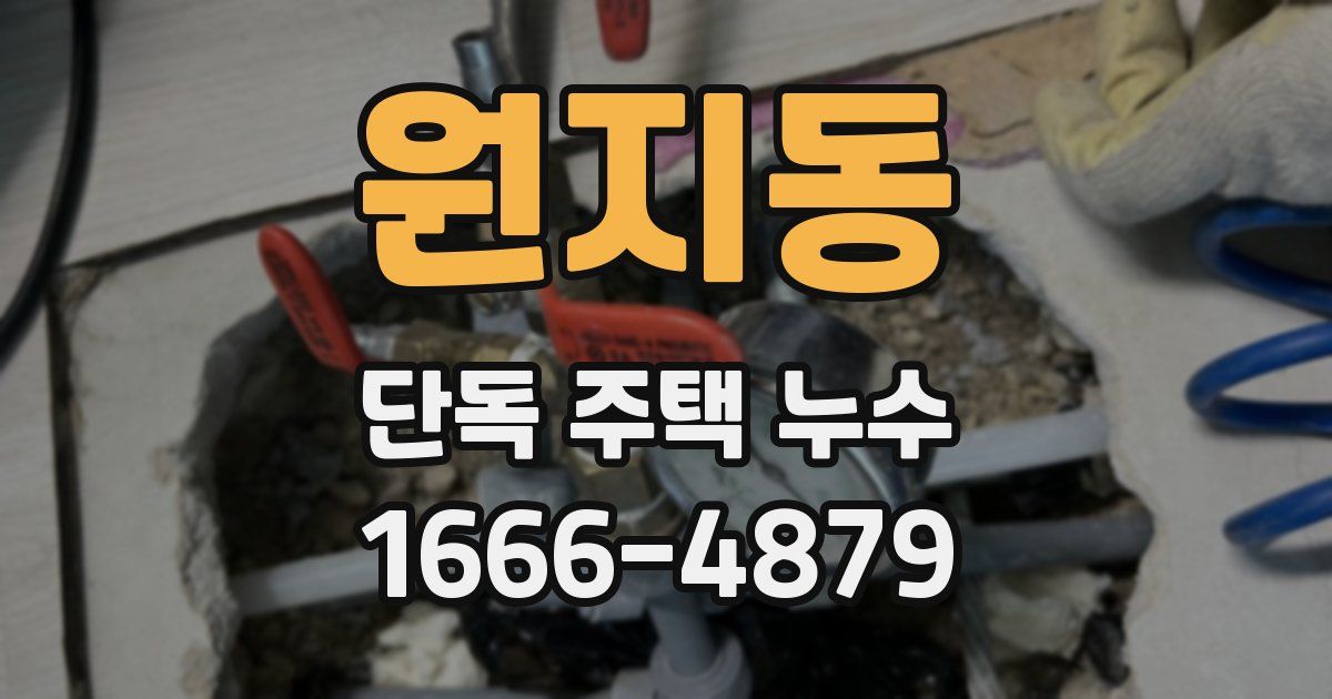 원지동 단독 주택 누수