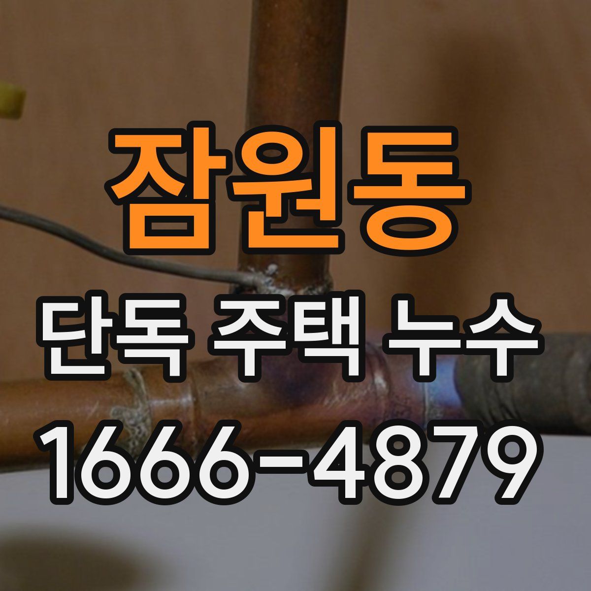 잠원동 단독 주택 누수