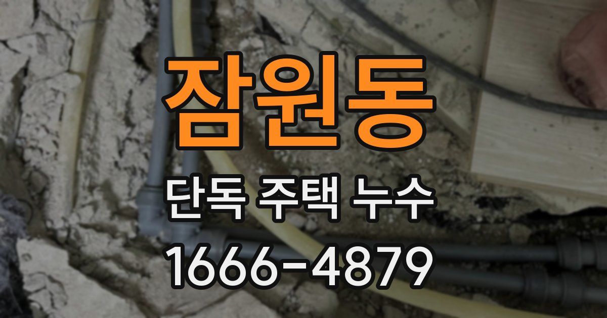 잠원동 단독 주택 누수