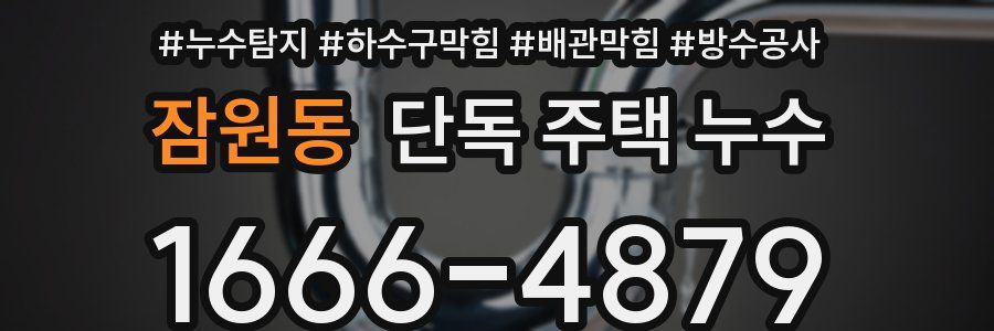 잠원동 단독 주택 누수